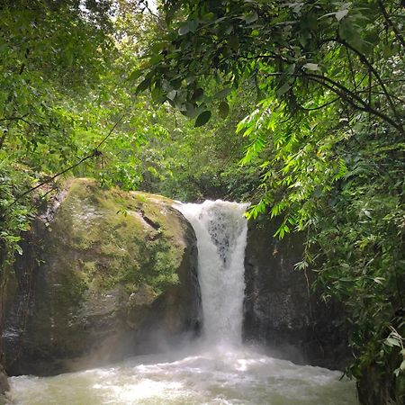 Rio Tico Safari Lodge Punta Mala Eksteriør bilde