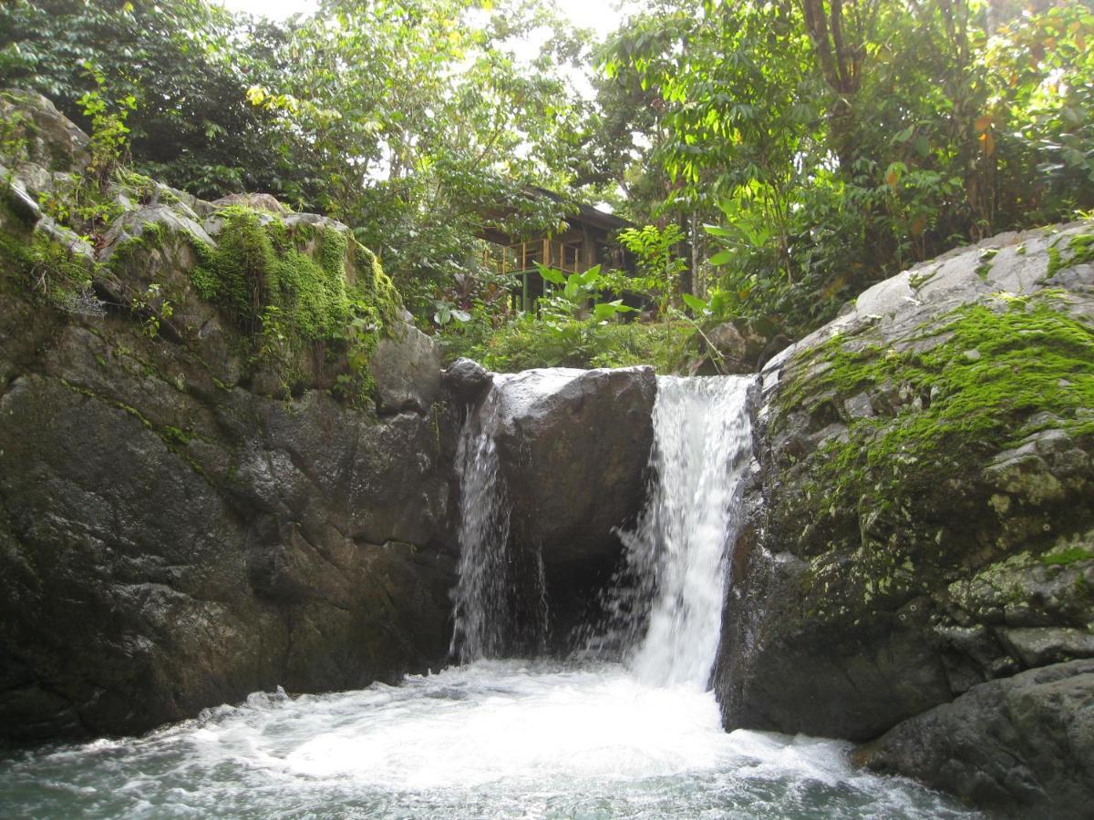 Rio Tico Safari Lodge Punta Mala Eksteriør bilde