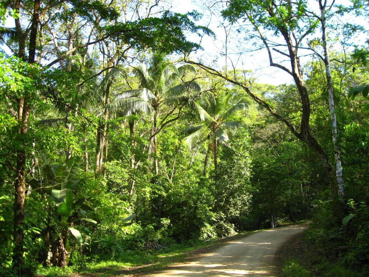 Rio Tico Safari Lodge Punta Mala Eksteriør bilde