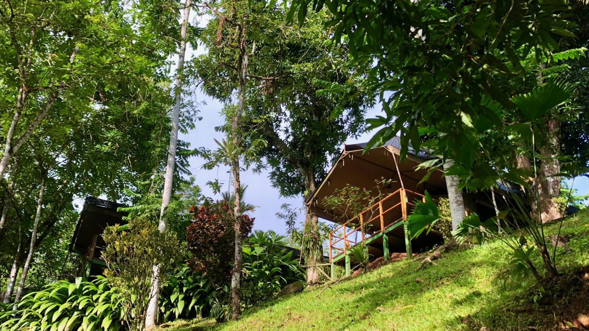 Rio Tico Safari Lodge Punta Mala Eksteriør bilde